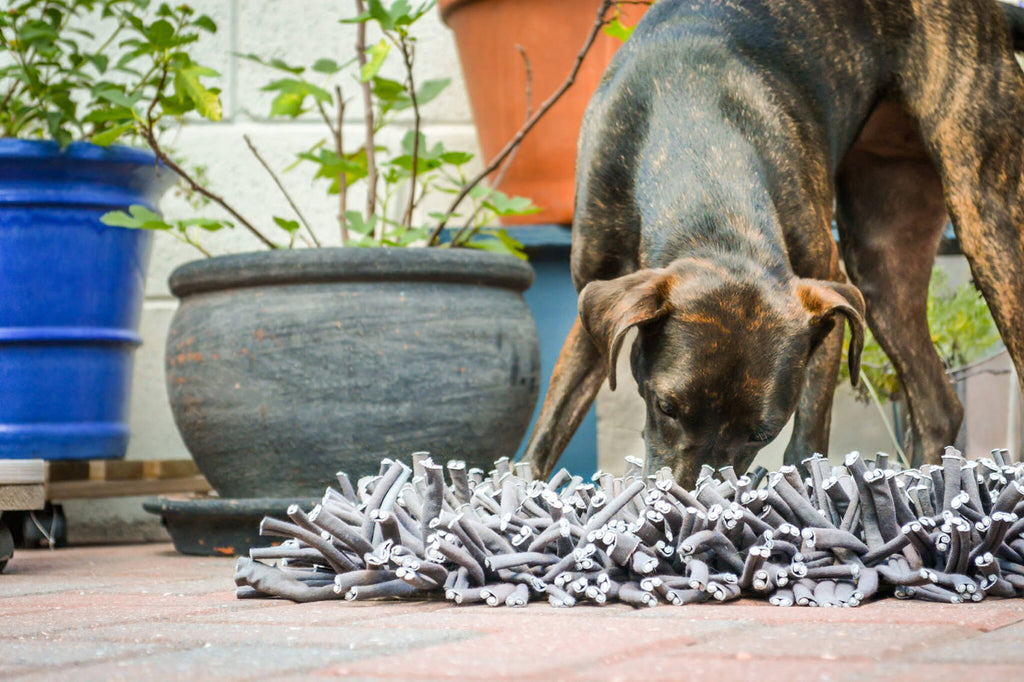 Dog nuzzling a Snuffle Mat - Three Reasons You Really Want to Slow Down Your Dog’s Eating - PAW5