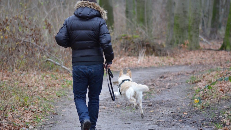 Woman walking dog on trail - What is a Dog Walk Really For? - PAW5