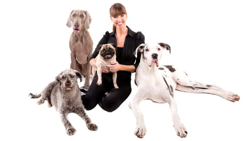 Woman surrounded by dogs - Raising Puppy Right: The Importance of Enrichment with Victoria Stilwell - PAW5