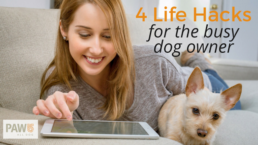 Woman with tablet and dog - Four Life Hacks for the Busy Dog Owner - PAW5