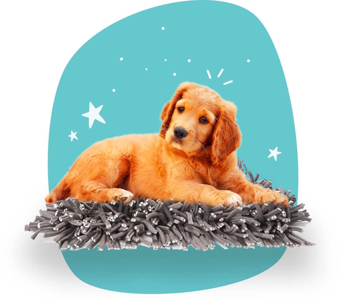 Paw5 wooly best sale snuffle mat